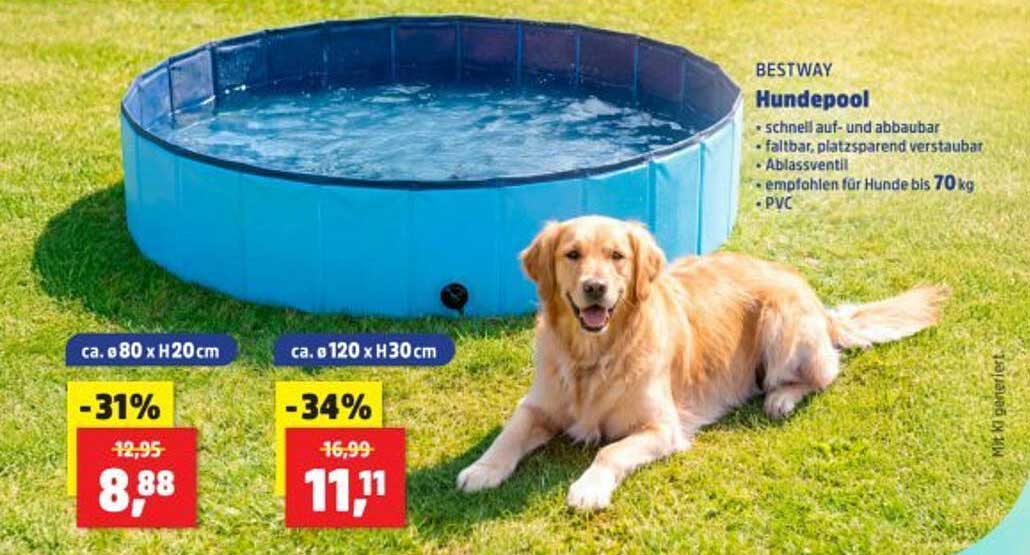 BESTWAY Hundepool