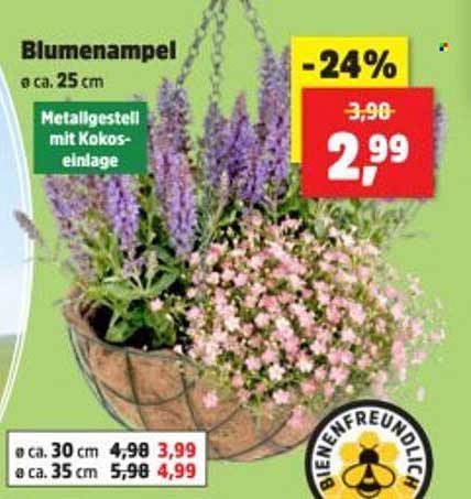 Blumenampel