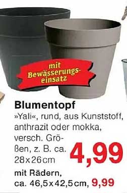 Blumentopf