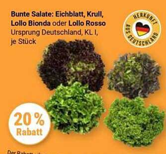 Bunte Salate: Eichblatt, Krull, Lollo Bionda oder Lollo Rosso
