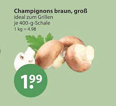 Champignons braun, groß