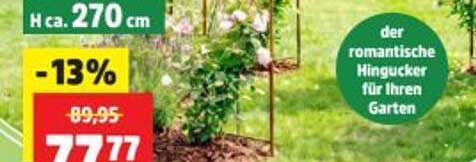 der romantische Hingucker für Ihren Garten