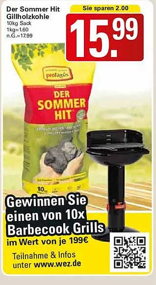 Der Sommer Hit Grillholzkohle