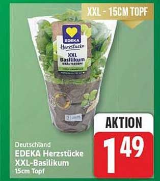 EDEKA Herzstücke XXL-Basilikum 15cm Topf
