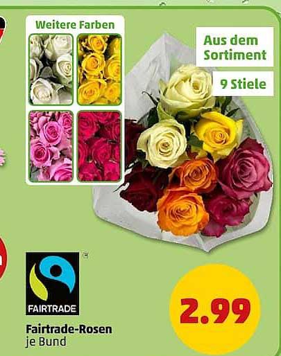 Fairtrade-Rosen je Bund