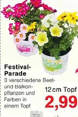 Festival-Parade