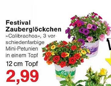 Festival Zauberglöckchen
