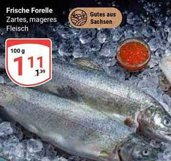 Frische Forelle