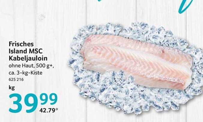 Frisches Island MSC Kabeljauloin ohne Haut, 500 g+, ca. 3-kg-Kiste