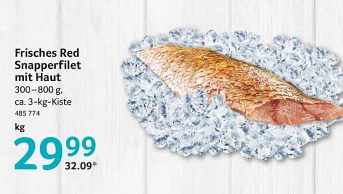 Frisches Red Snapperfilet mit Haut