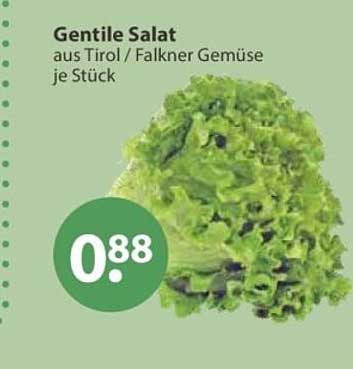 Gentile Salat aus Tirol / Falkner Gemüse je Stück