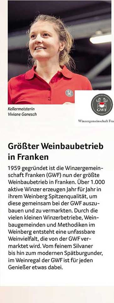 Größter Weinbaubetrieb in Franken
