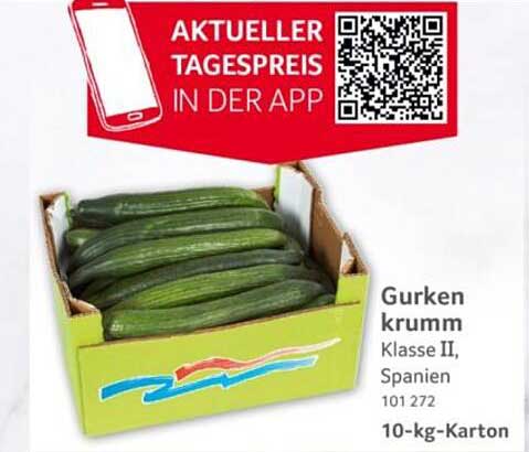 Gurken krumm