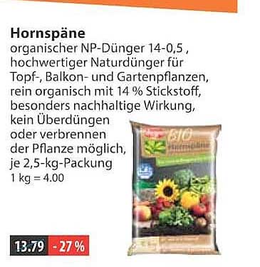 Hornspäne