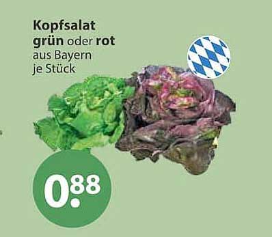 Kopfsalat grün oder rot aus Bayern je Stück