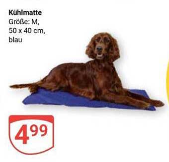 Kühlmatte