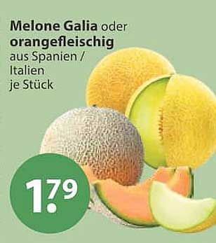 Melone Galia oder orangefleischig