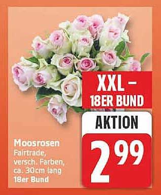 Moosrosen