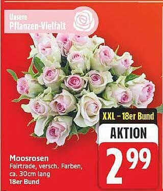 Moosrosen Fairtrade, versch. Farben, ca. 30 cm lang 18er Bund
