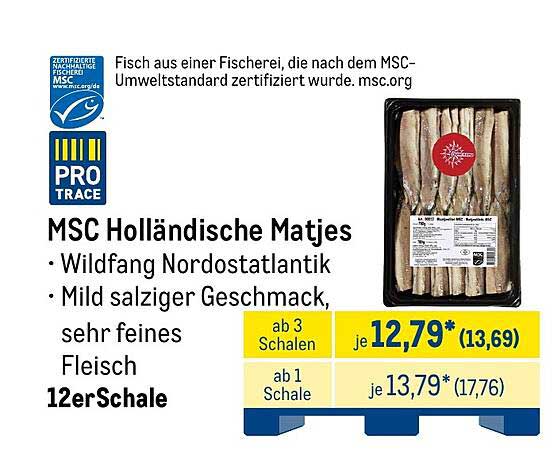 MSC Holländische Matjes