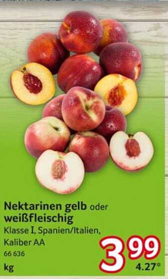 Nektarinen gelb oder weißfleischig