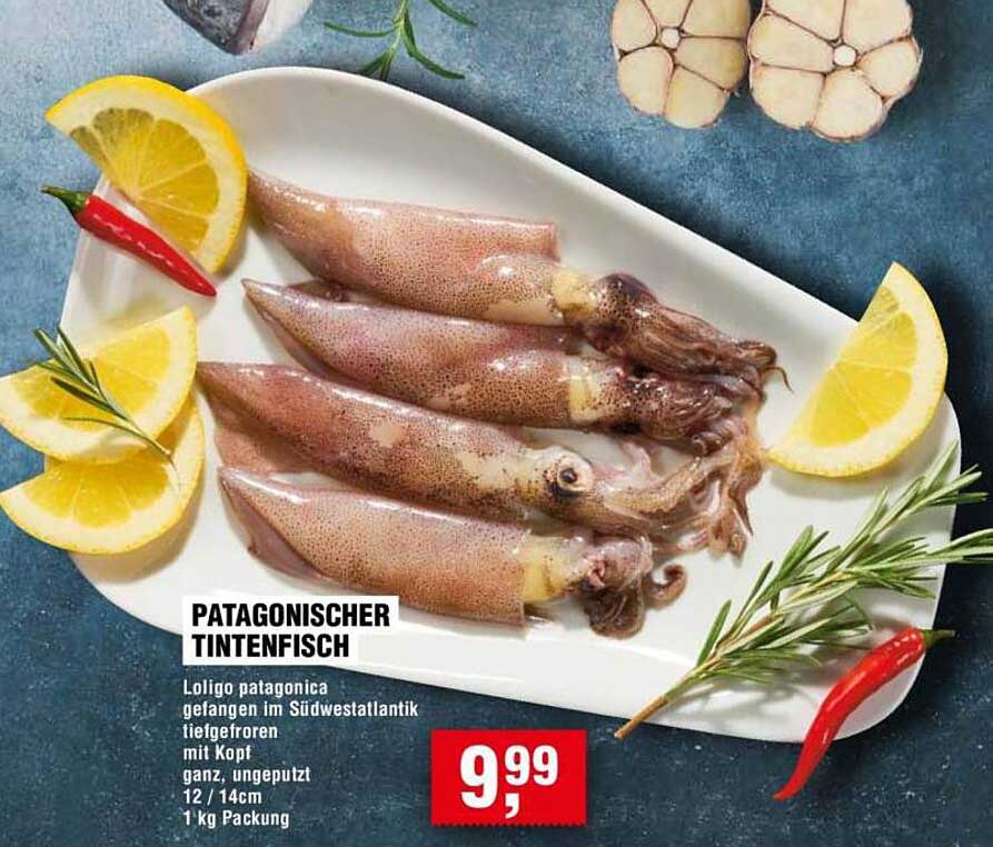 PATAGONISCHER TINTENFISCH