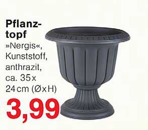 Pflanz- topf »Nergis«