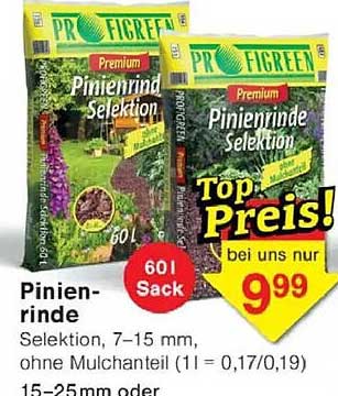 Pinienrinde Selektion