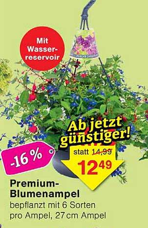 Premium-Blumenampel bepflanzt mit 6 Sorten pro Ampel, 27cm Ampel