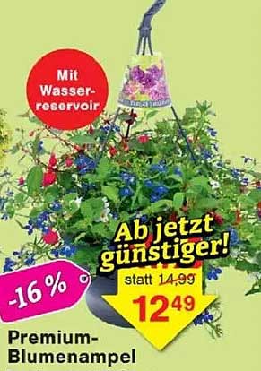 Premium-Blumenampel