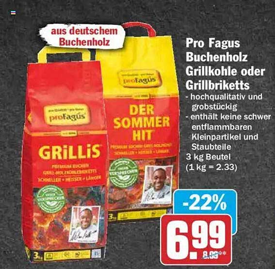 Pro Fagus Buchenholz Grillkohle oder Grillbriketts