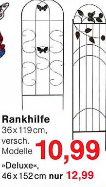 Rankhilfe 36 x 119 cm, versch. Modelle »Deluxe«, 46 x 152 cm nur