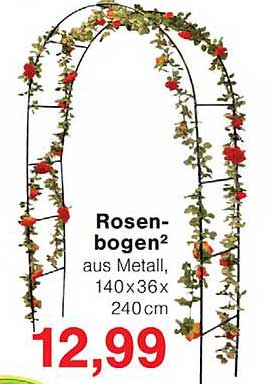 Rosenbogen aus Metall, 140×36×240 cm