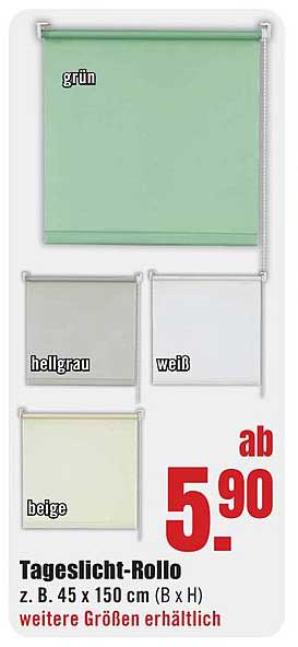 Tageslicht-Rollo