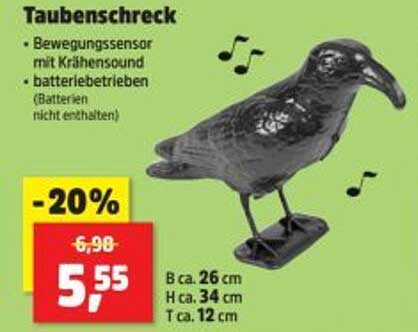 Taubenschreck