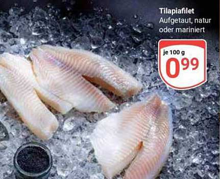 Tilapiafilet Aufgetaut, natur oder mariniert