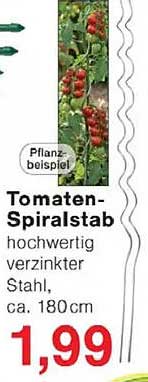 Tomaten-Spalstab hochwertig verzinkter Stahl, ca. 180 cm