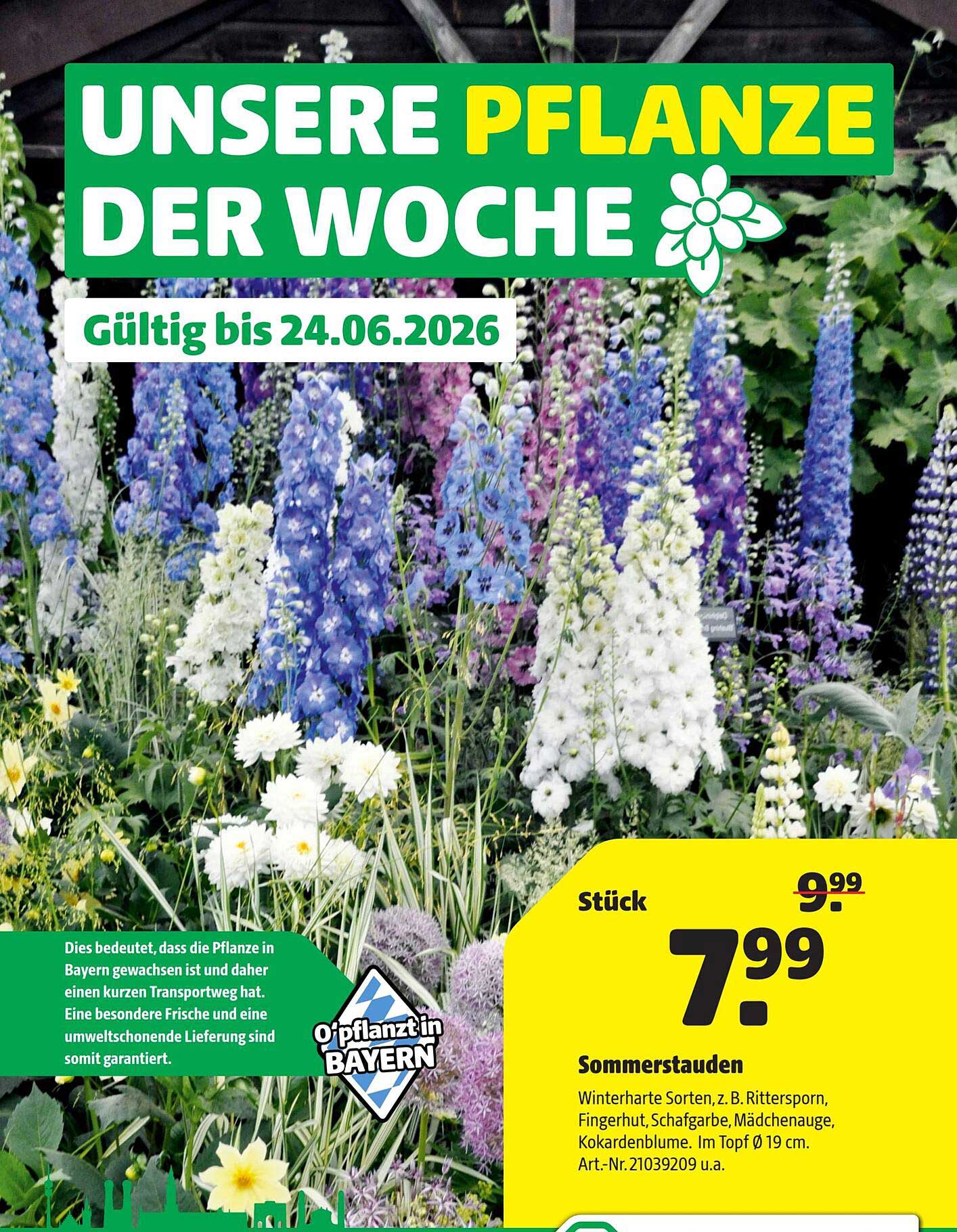 Unsere Pflanze der Woche