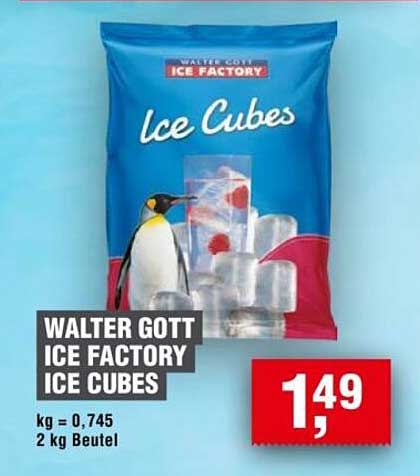 WALTER GOTT ICE FACTORY ICE CUBES