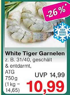 White Tiger Garnelen