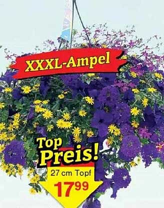 XXXL-Ampel