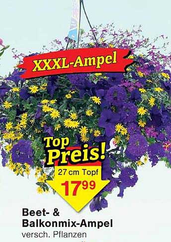 XXXL-Ampel