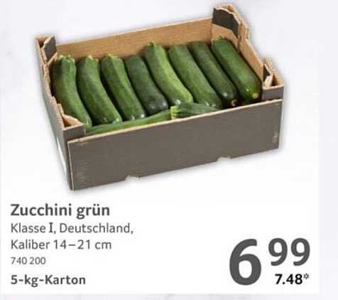 Zucchini grün