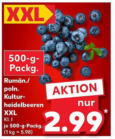 500-g-Packung Rumänische/Polnische Kulturheidelbeeren XXL