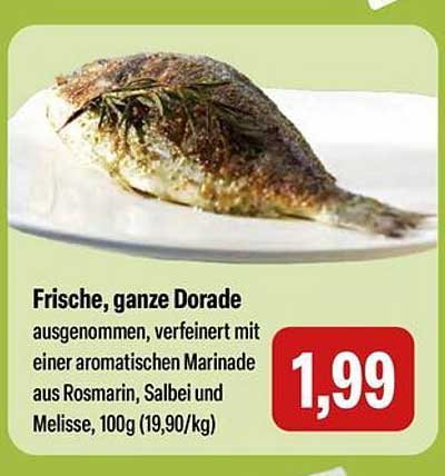 Frische, ganze Dorade