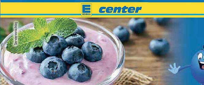 Fruchtiger Jogurt mit Heidelbeeren