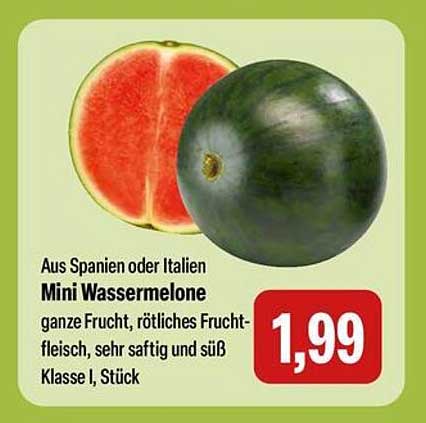 Mini Wassermelone – ganze Frucht, rotfleischig und süß