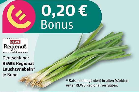 REWE Regional Lauchzwiebeln je Bund