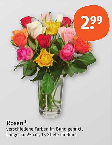 Rosen – verschiedene Farben im Bund gemixt, Länge ca. 25 cm, 15 Stiele im Bund