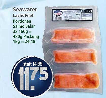 Seawater Lachs Filet Portions Salmo Salar 480g